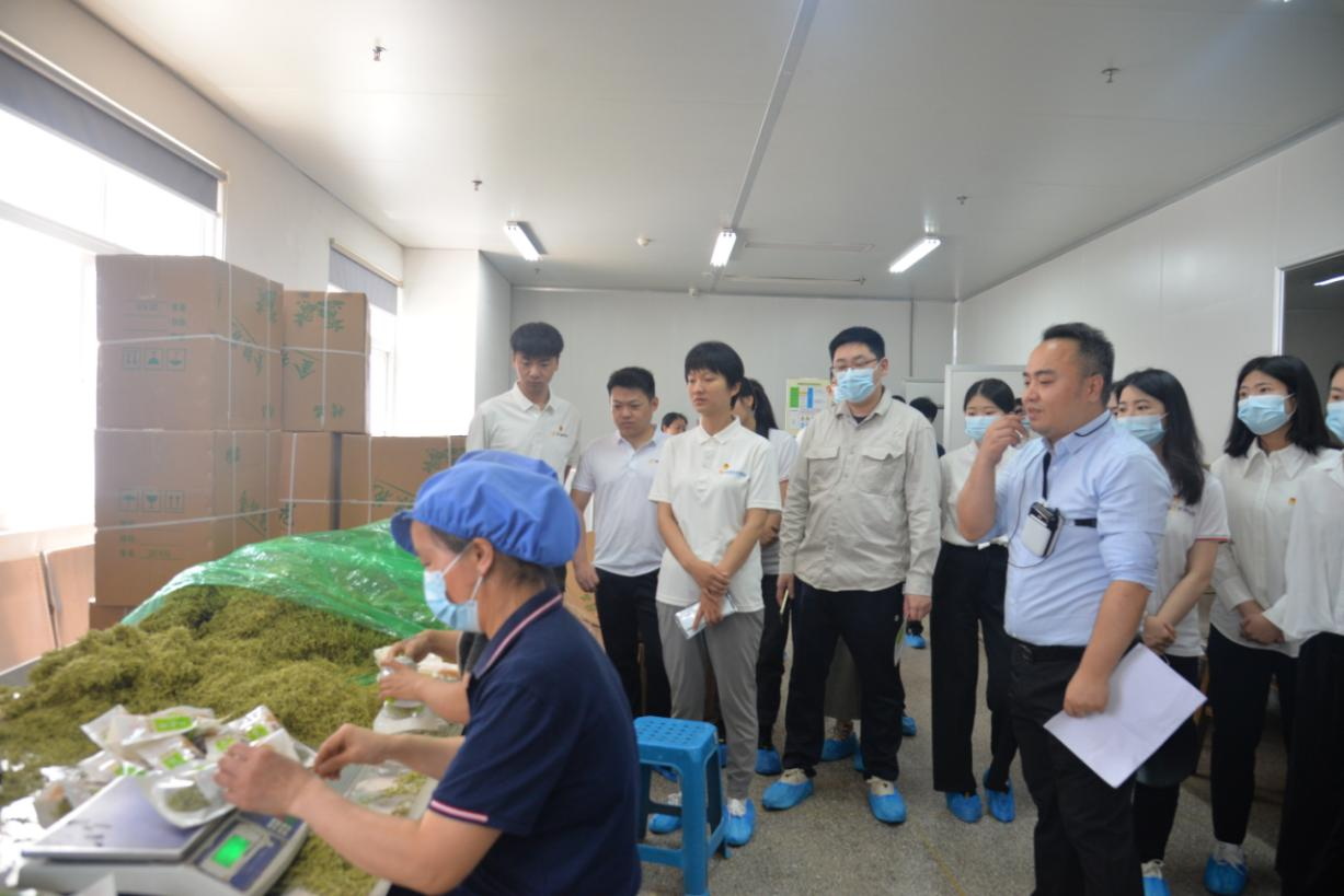 �ƶ�����(�й���½)�ٷ���վ