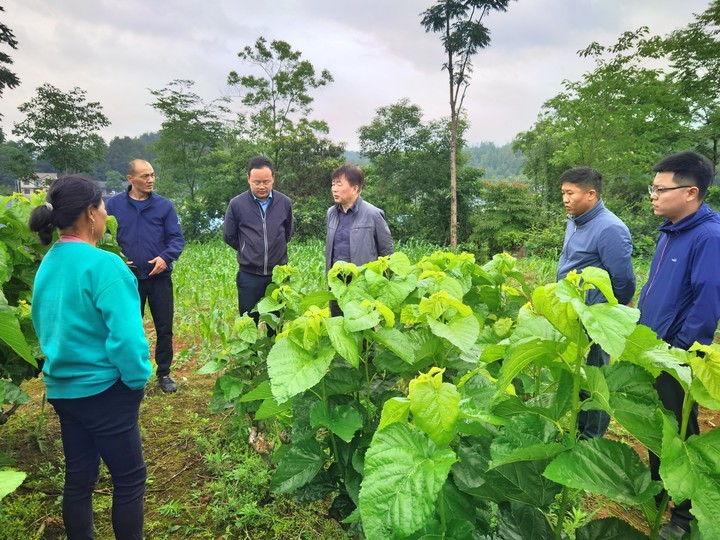 �ƶ�����(�й���½)�ٷ���վ