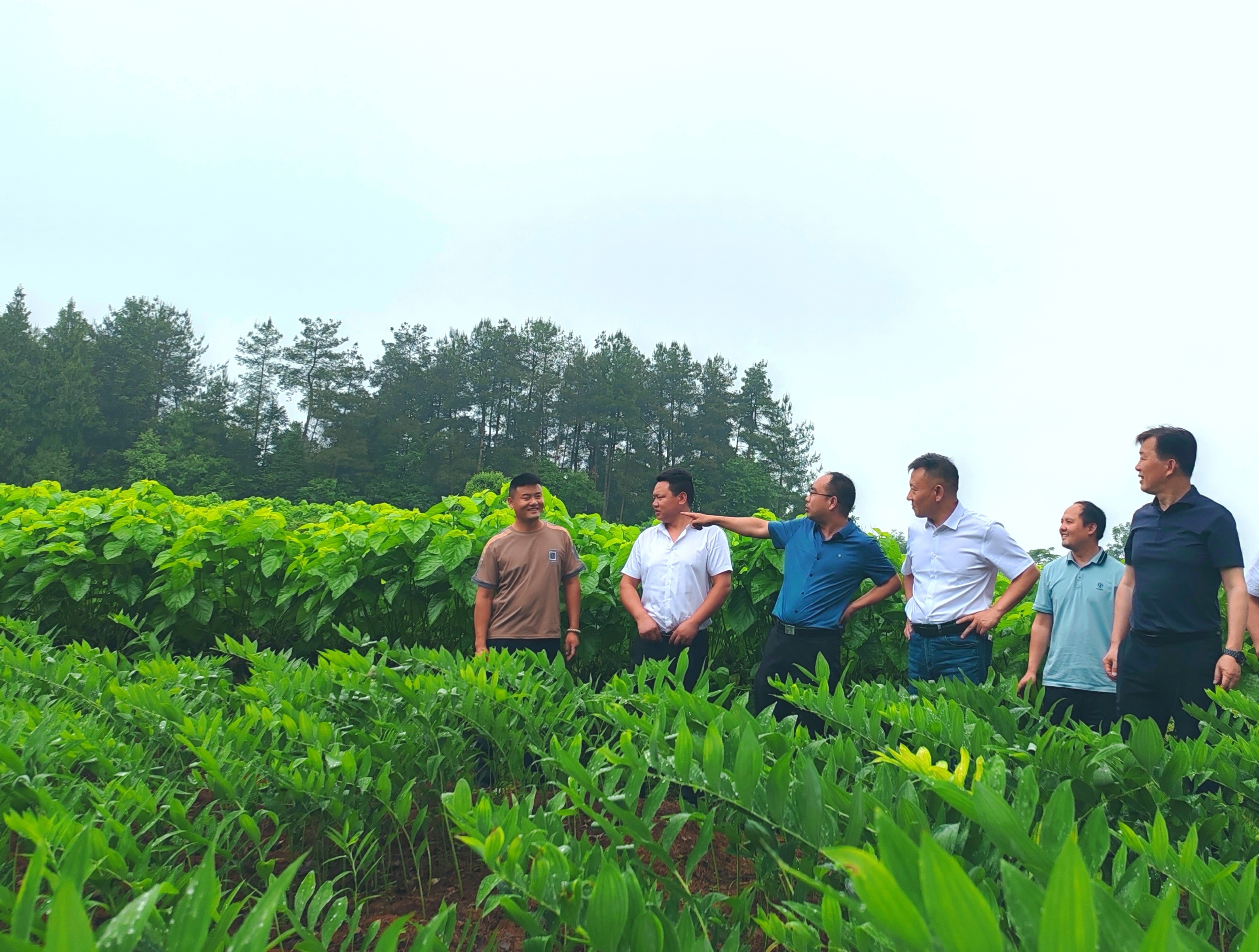 �ƶ�����(�й���½)�ٷ���վ